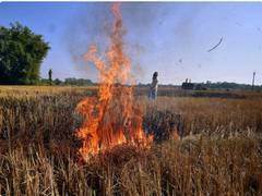 
      
      Punjab: Farmers blame government for worsening air quality
      
      