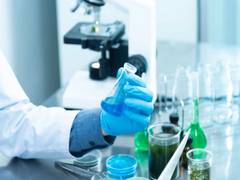 
      
      Scientists find out how organic compound affects bacteria
      
      