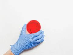 
      
      Researchers discover protein that parasite uses
      
      