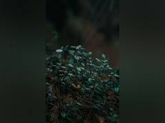
      
      Cellulose based materials have environmental benefits 
      
      