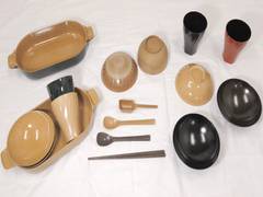 
      
      Tokyo govt develops biodegradable plastic for environmental conse
      
      