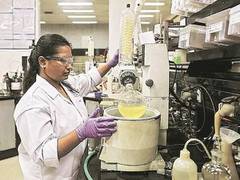 
      
      Cipla posts 11 pc increase in profit
      
      