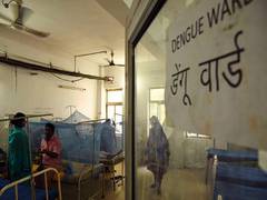 
      
      Schools, colleges in Assam's Diphu closed due to dengue outbreak
      
      