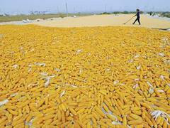 
      
      China returns to 'planned economy', restores cooperatives system
      
      