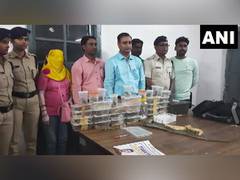 
      
      J'khand: Woman arrested for smuggling 28 exotic species of Cobra
      
      