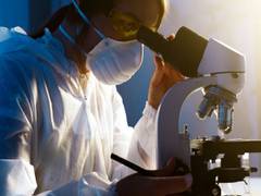 
      
      Study: Inhaled toxic particles take direct route to brain
      
      
