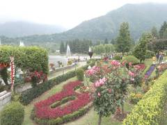 
      
      Commercial floriculture emerging as new form of employment in J-K
      
      