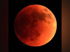 
      
      Check out Do's, don'ts to witness last lunar eclipse of this year
      
      