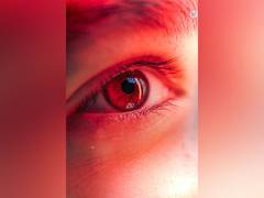
      
      Cholesterol drugs lessen risk of eye disease of ageing
      
      