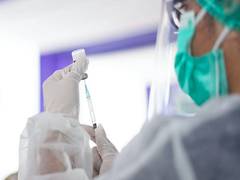
      
      Experimental cancer vaccine shows promise in animal trials
      
      