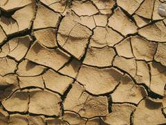 
      
      How dryland dynamics change due to climate channge
      
      