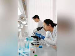 
      
      Probiotic bacteria improve inflammatory bowel disease treatment
      
      