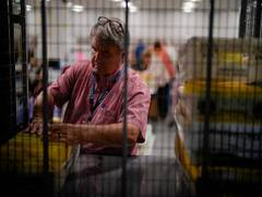 
      
      Democrats to retain Senate, control of House remains undecided
      
      
