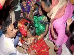 
      
      Gurugram couple conducts full marriage rituals for pet dogs
      
      