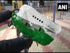 
      
      Pakistan flag coloured aircraft-shaped balloon found in J-K
      
      