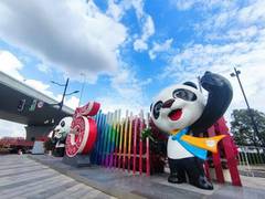 
      
      The fifth China International Import Expo posts fruitful results
      
      