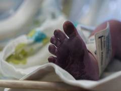 
      
      UN urges solidarity in advancing SDGs as population hits 8 bn
      
      