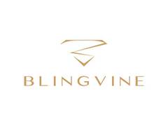 
      
      Blingvine, the celebrity loved jewellery brand
      
      