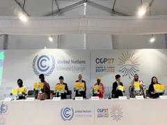 
      
      TERI Policy Brief launched at COP27 Calls 
      
      