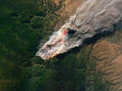 
      
      Rise in forest fires is permanence risk for global carbon markets
      
      