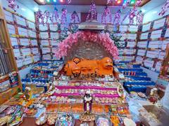 
      
      MP: 1351 types of Bhog offered as bhog for Lord Bhairav Nath
      
      