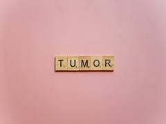 
      
      Study finds mechanism tumours use to suppress immune responses
      
      