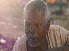 
      
      Leprosy has potential to regenerate livers: Research
      
      