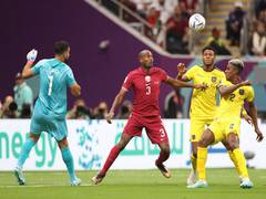 
      
      Need to be well-organised to be competitive: Qatar coach
      
      