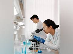 
      
      Connection between gut and stroke-induced cognitive impairment
      
      