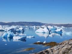 
      
      Regime change in Arctic marine ecosystem likely to be permanent
      
      