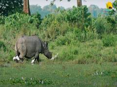 
      
      With sustainability in focus, Assam launches new tourism policy
      
      