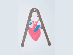 
      
      Is 'good cholestrol' good for your heart? Study poses challenge
      
      