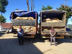 
      
      Mizoram police seize over 12,000 kg smuggled areca nuts
      
      