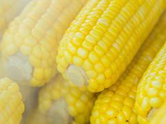 
      
      Sweet corn sweltering in summers spells uncertainty for lovers
      
      