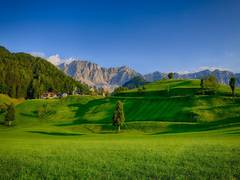 
      
      Grasslands can be managed to benefit biodiversity
      
      