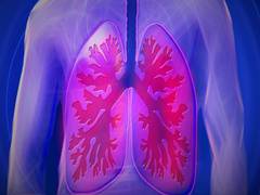 
      
      Children who had bronchitis linked to adult lung problem: Study
      
      