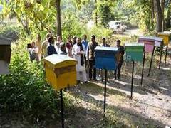 
      
      KVIC distributes over 330 'bee-boxes' in Uttarakhand
      
      