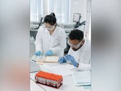 
      
      Study finds proteins prevent scar formation in brain 
      
      