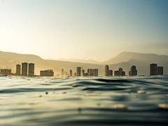 
      
      Microfibers in Mediterranean Sea floating homes for bacteria
      
      