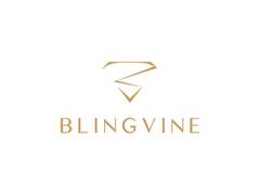 
      
      Blingvine updates Bridal Jewellery Collection 
      
      