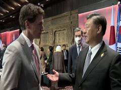 
      
      China's interference in democracies gets called out!
      
      