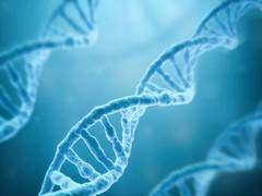 
      
      Early life events can have a long-term effect on genes: Study
      
      