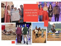 
      
      The Ranch' organizes Homeland Chandigarh Horse Show
      
      