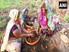 
      
      MP women make manure from household garbage
      
      