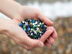 
      
      Pollutants more harmful due to microplastics: Study 
      
      