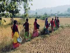 
      
      Jharkhand: Villagers forced to collect water from pits
      
      