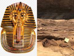 
      
      Mummies with solid gold tongues discovered in Egypt!
      
      