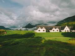 
      
      Living in greener places linked to better mental health
      
      