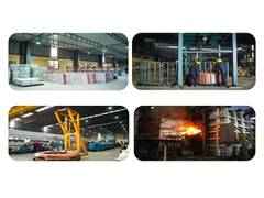 
      
      Rajnandini Metals Ltd plans major expansion
      
      