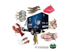
      
      Kings Infra launches King Fresh Seafood Retailing
      
      